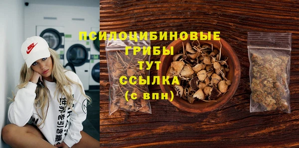 прущие грибы Алзамай