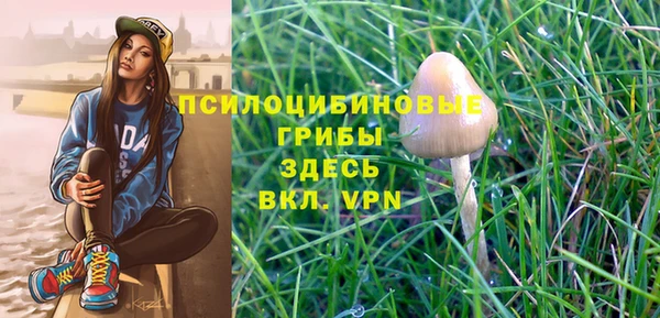 соль ск Алексин