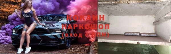 соль ск Алексин