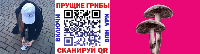 Галлюциногенные грибы мицелий  Дрезна 